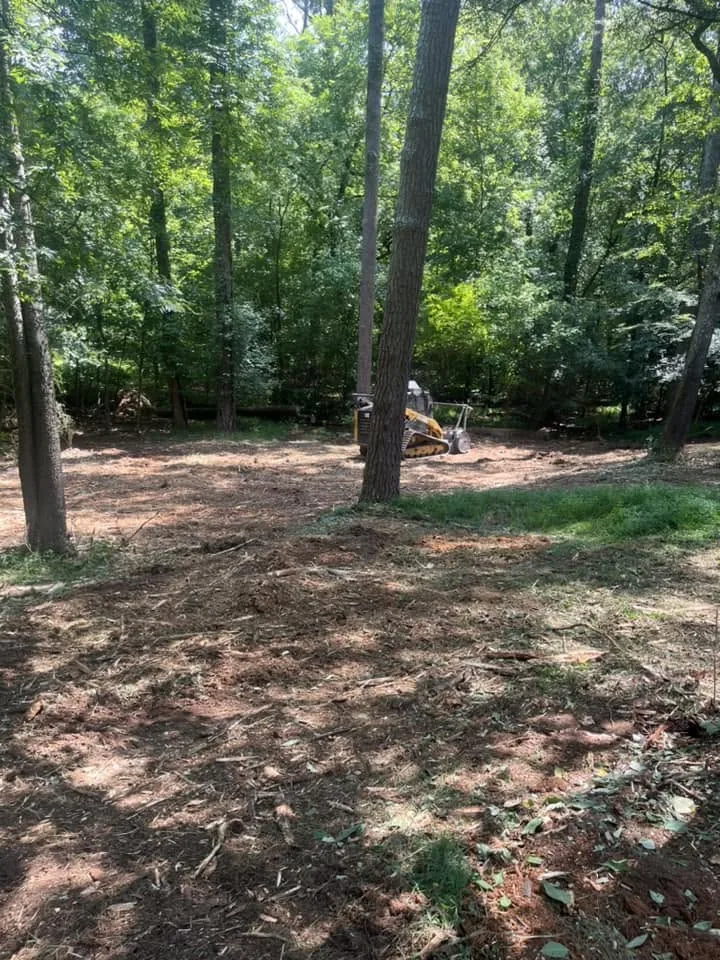 After — Residential underbrush removal.